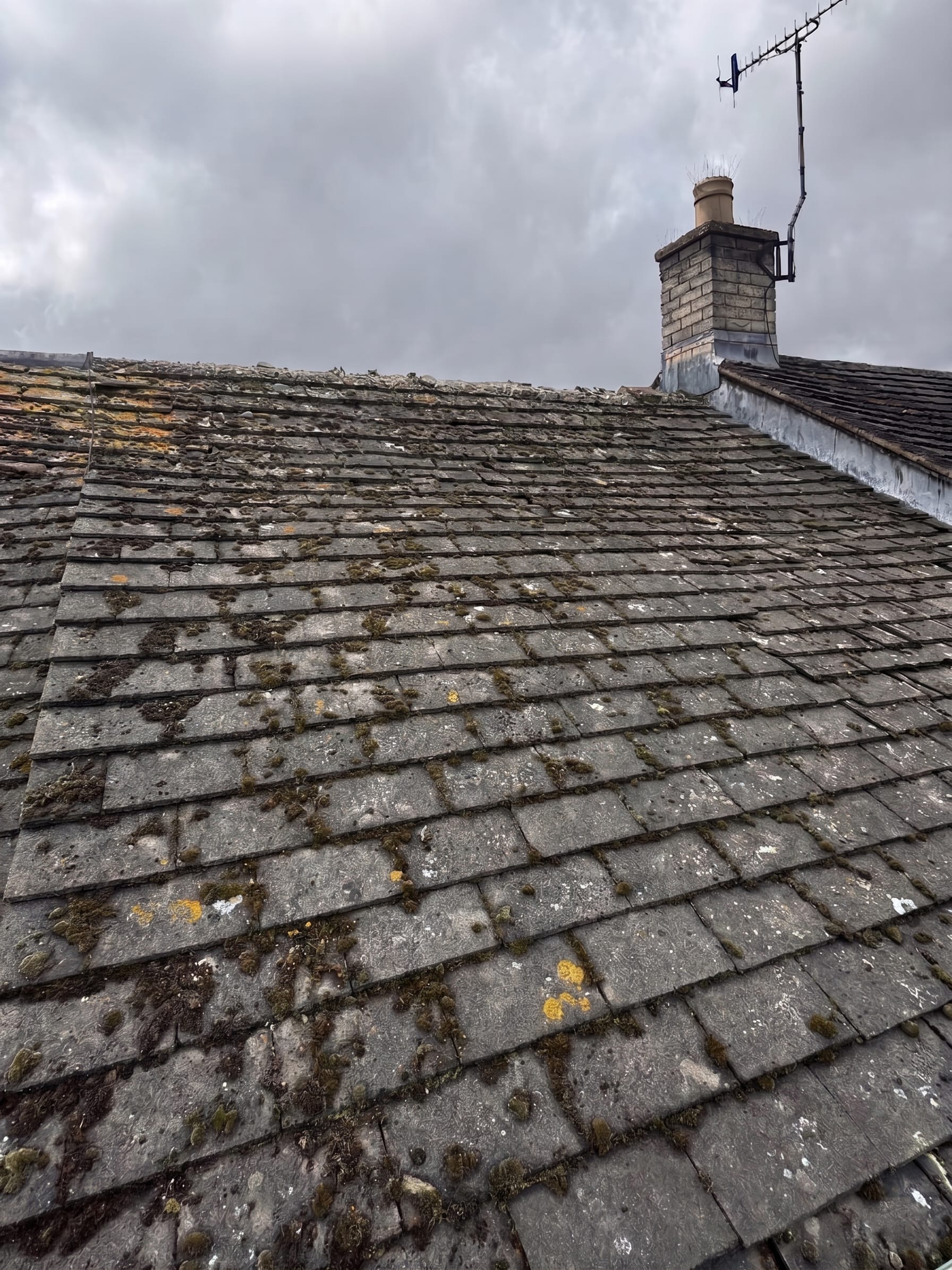 Start-Roof